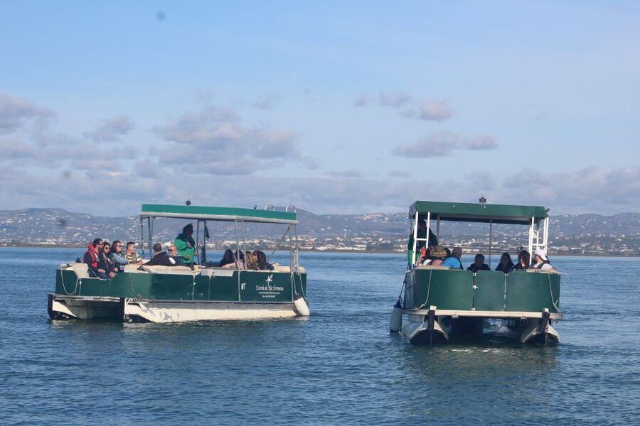 From Faro: 4 Stops, 3 Islands in Ria Formosa Catamaran Tour - Key points to know before you book