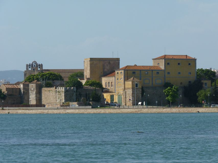 From Faro: 4 Stops, 3 Islands in Ria Formosa Catamaran Tour - Ilha Deserta: your first taste of open beach