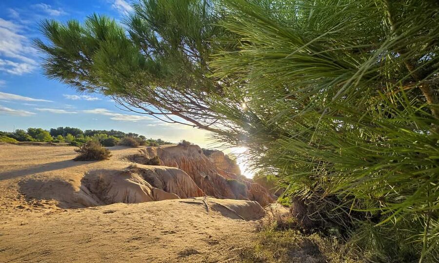 From Faro: 7 Valleys Hiking, Benagil Cave, & Snorkeling Tour - Is $57 a fair price?