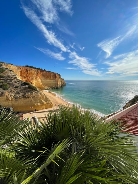 From Faro: Benagil, Algar Seco, 7 Hanging Valleys, & Marinha - Benagil Cave from the clifftop