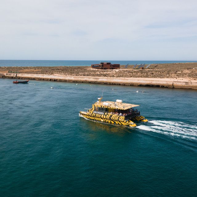 From Faro: Catamaran Boat Trip to Deserta Island with Stop - The catamaran ride through Ria Formosa