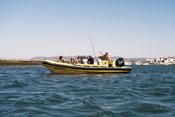 From Faro: Ria Formosa Eco Tour guided by Marine Biologist - Arriving at Ilha Deserta, Portugal’s Uninhabited Island