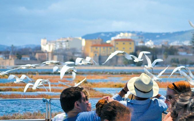 From Faro: Ria Formosa Eco Tour guided by Marine Biologist - Should You Book the Ria Formosa Eco Tour?