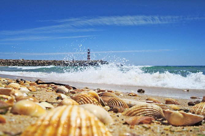 From Faro: Ria Formosa Eco Tour guided by Marine Biologist - Crossing the Natural Park by Catamaran