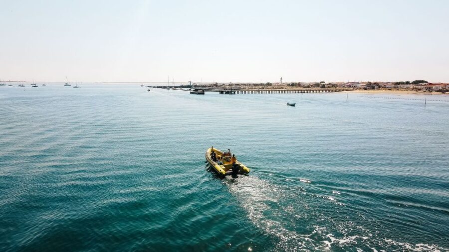 From Faro: Ria Formosa Hop-On Hop-Off 3 Islands Cruise - Leaving Faro for the Ria Formosa islands