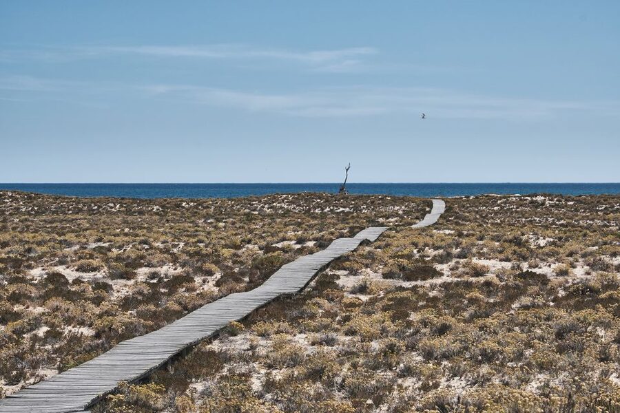 From Faro: Ria Formosa Hop-On Hop-Off 3 Islands Cruise - Who will enjoy this island day most?