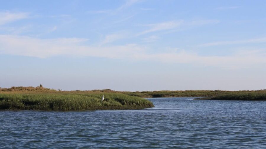 From Faro: Ria Formosa Sunset Boat Trip - The sunset hour, and what happens when clouds arrive