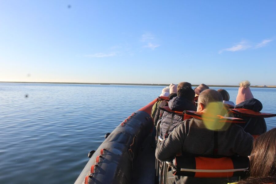 From Faro: Wildlife and Dolphin-Watching Speedboat Tour - From Faro’s old town to the Ria Formosa