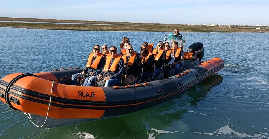 From Faro: Wildlife and Dolphin-Watching Speedboat Tour - Practical ways to get more from the morning