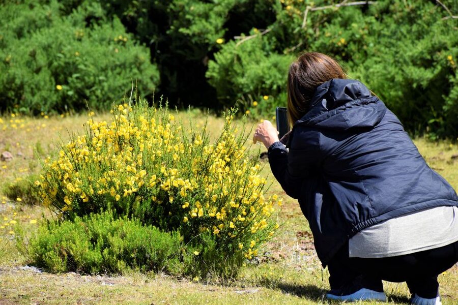 From Funchal: 2-Day Guided Tour of Madeira - Sixteen stops, small groups, and the practical pace
