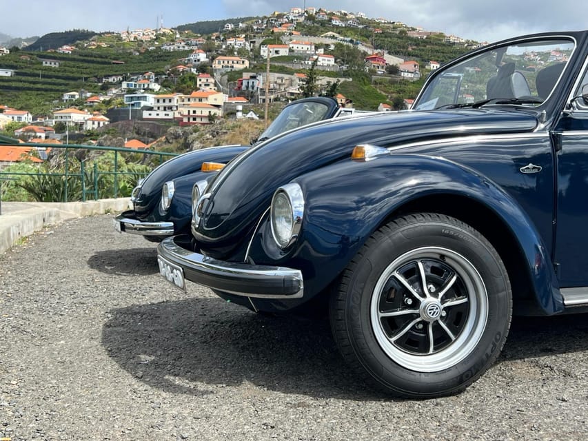 From Funchal: Cabo Girão & Poncha Tasting by Classic VW - Practical advice for a smoother afternoon