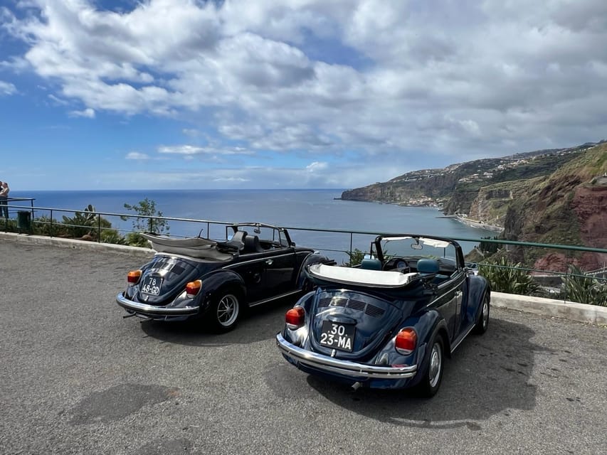 From Funchal: Cabo Girão & Poncha Tasting by Classic VW - Who will enjoy this best?