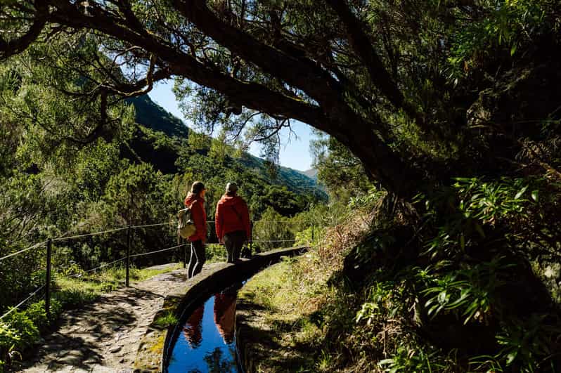 From Funchal/Caniço: Rabaçal Hike (25 Fontes) Bus Transfer - Why this transfer makes the 25 Fontes hike easier