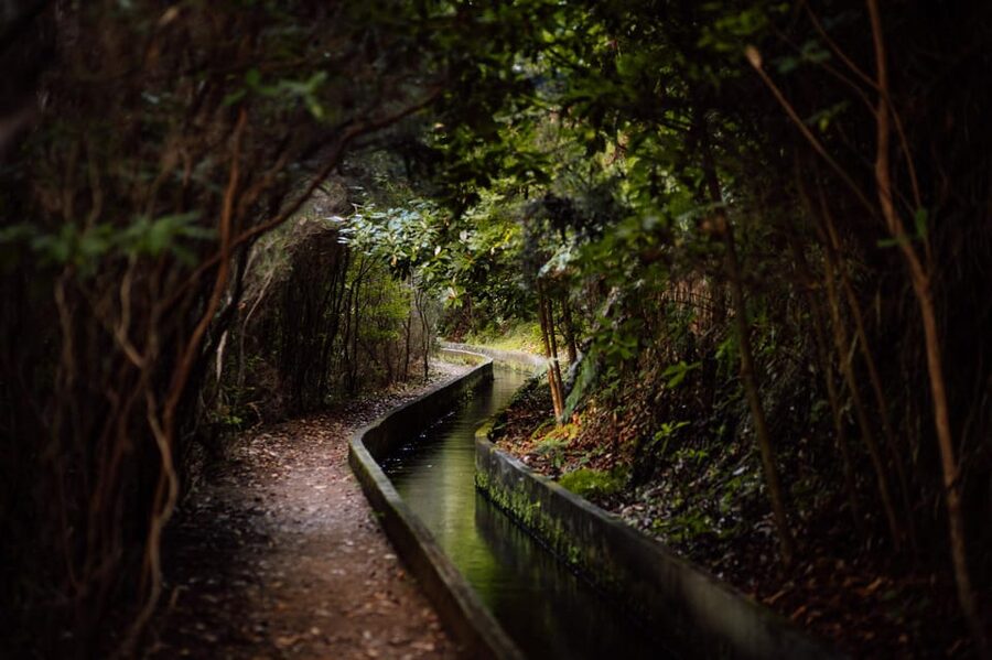 From Funchal/Caniço: Rabaçal Hike (25 Fontes) Bus Transfer - The tunnel is part of the adventure, not an afterthought
