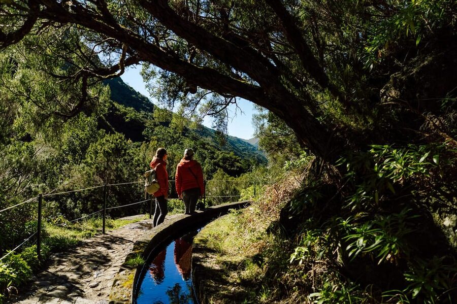 From Funchal/Caniço: Rabaçal Hike (25 Fontes) Bus Transfer - How the self-guided setup compares with a guided tour