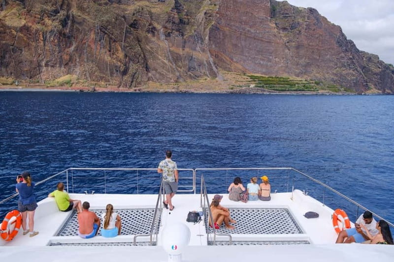 From Funchal: Ecological Catamaran Dolphin Whale Watching - Key points to know before booking