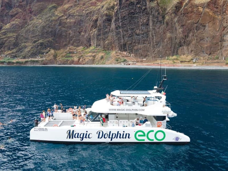 From Funchal: Ecological Catamaran Dolphin Whale Watching - A quieter boat for Madeira’s wild dolphins and whales