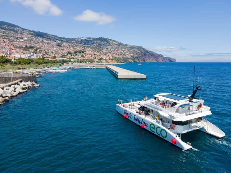 From Funchal: Ecological Catamaran Dolphin Whale Watching - Cabo Girão and the return along Madeira’s cliffs