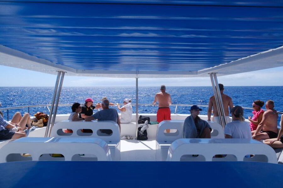 From Funchal: Ecological Catamaran Dolphin Whale Watching - What the eco claim means in practical terms