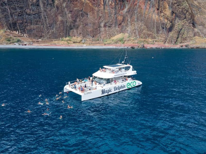 From Funchal: Ecological Catamaran Dolphin Whale Watching - Comfort, weather, and choosing your place on board