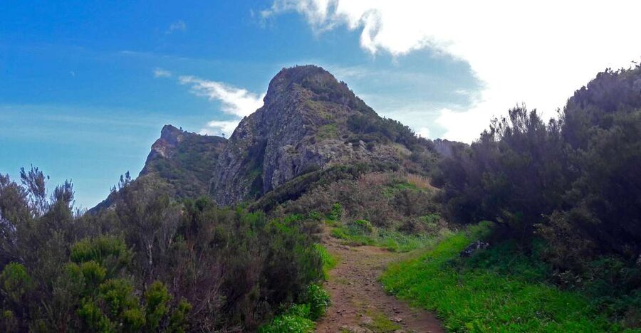 From Funchal: Machico to Porto da Cruz Larano Cliff Hike - Key points to know before booking