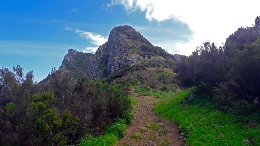 From Funchal: Machico to Porto da Cruz Larano Cliff Hike - The old Machico to Caniçal route brings the history closer