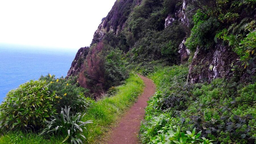 From Funchal: Machico to Porto da Cruz Larano Cliff Hike - Who should book this hike?