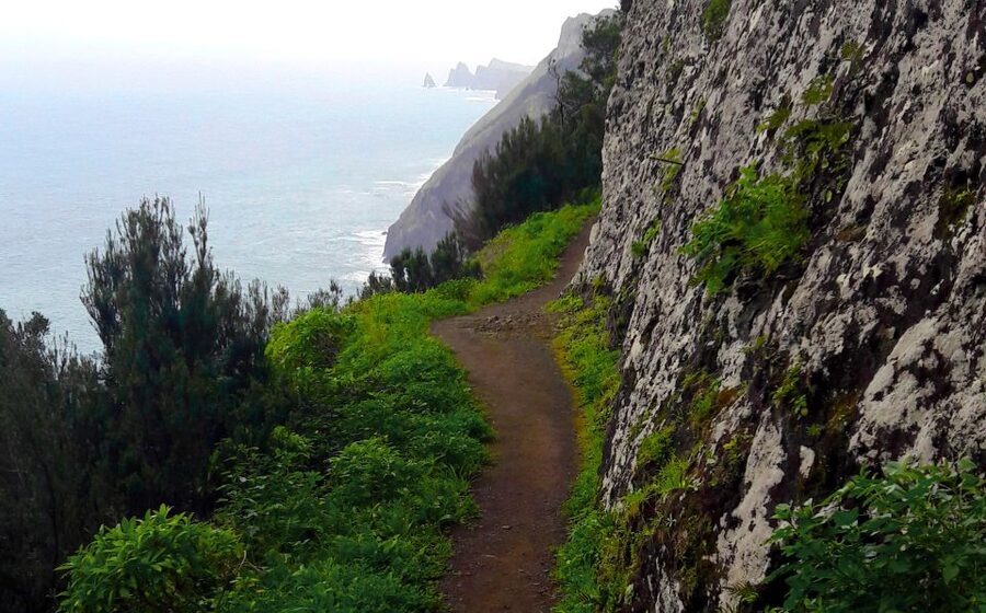 From Funchal: Machico to Porto da Cruz Larano Cliff Hike - Machico’s fields and levadas ease you into the hike