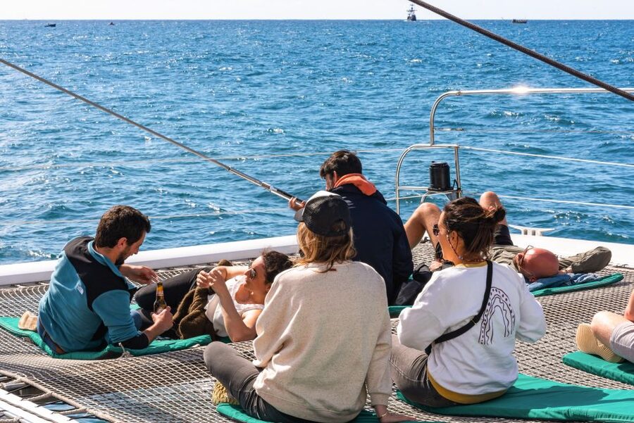 From Funchal: Madeira Dolphin and Whale Watching Tour - Should you book the VMT Madeira catamaran tour?