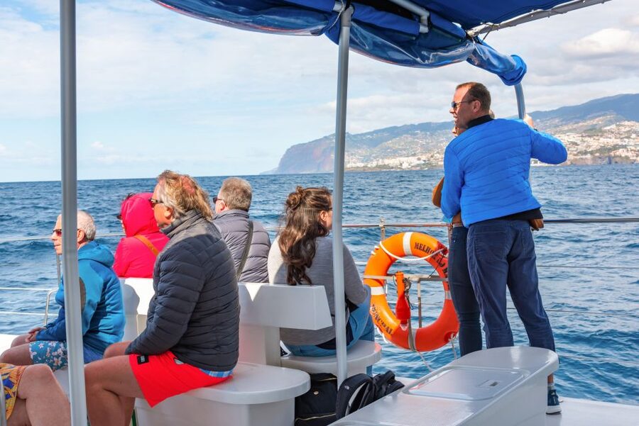From Funchal: Madeira Dolphin and Whale Watching Tour - Comfort, space, and the practical boat setup