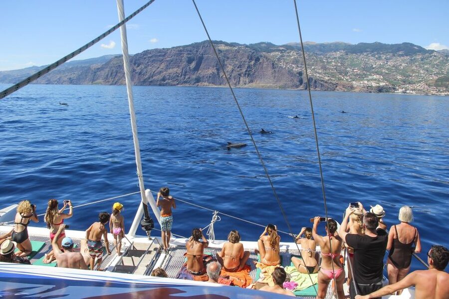 From Funchal: Madeira Dolphin and Whale Watching Tour - Who will get the most from this cruise