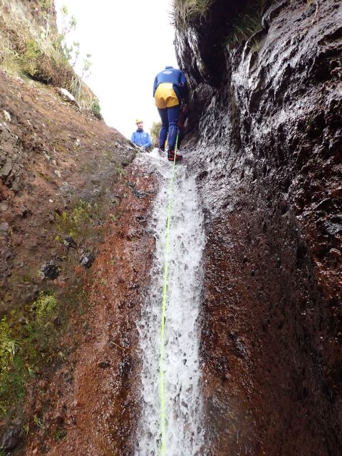From Funchal: Madeira Island Canyoning for Beginners - The Camacha canyon: water, rope, and rock
