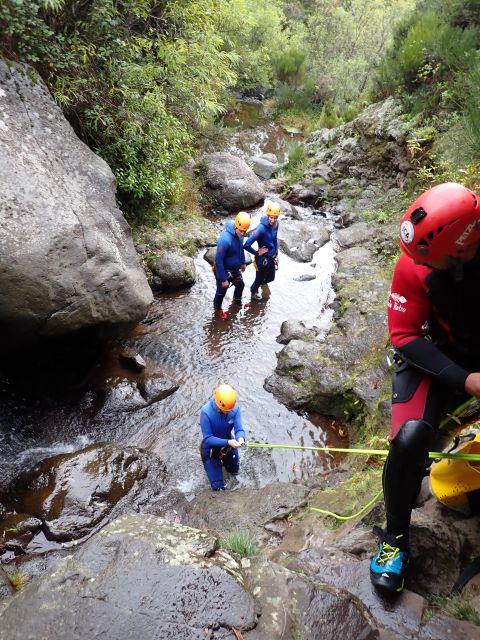 From Funchal: Madeira Island Canyoning for Beginners - Who should book this Madeira activity?