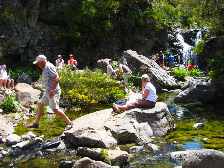 From Funchal: Madeira Lakes Levada Guided Hike - Starting from Funchal and reaching the trail