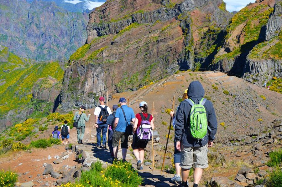 From Funchal: Madeira Peaks Mountain Walk - What to bring for the trail