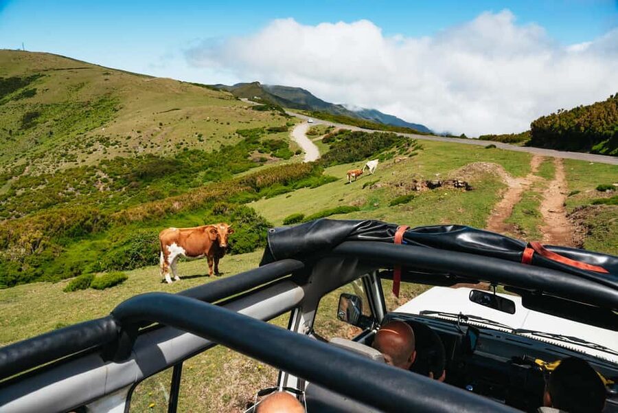 From Funchal: Porto Moniz and Seixal Day Tour by Jeep - Off-road tracks and Paúl da Serra