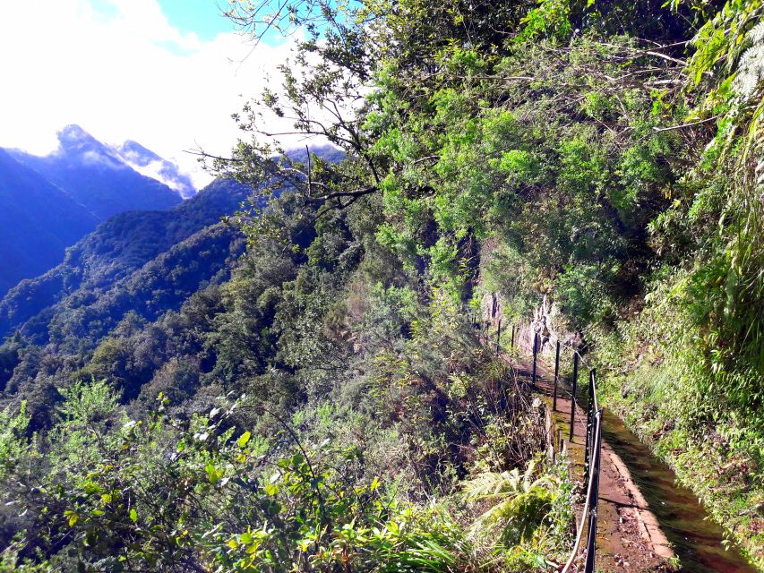 From Funchal: São Jorge Valleys Levada Walk - Passing behind the waterfall