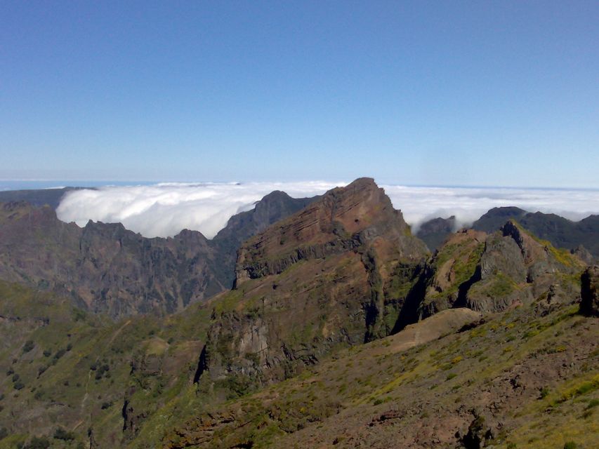 From Funchal: West Madeira Waterfalls and Fanal Forest Tour - Paul da Serra leads into Fanal Forest