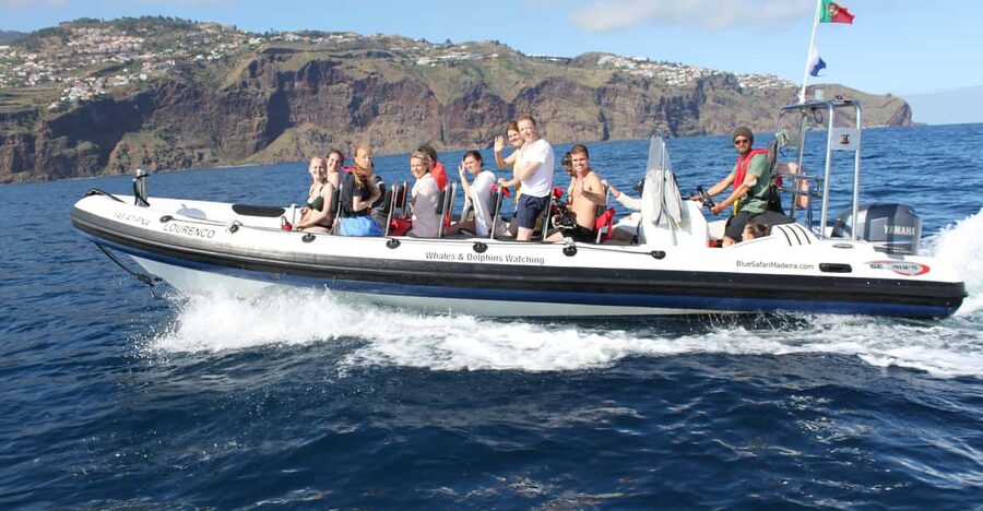 From Funchal: Whales and Dolphin Adventure Tour - Leaving Funchal on a fast, compact boat
