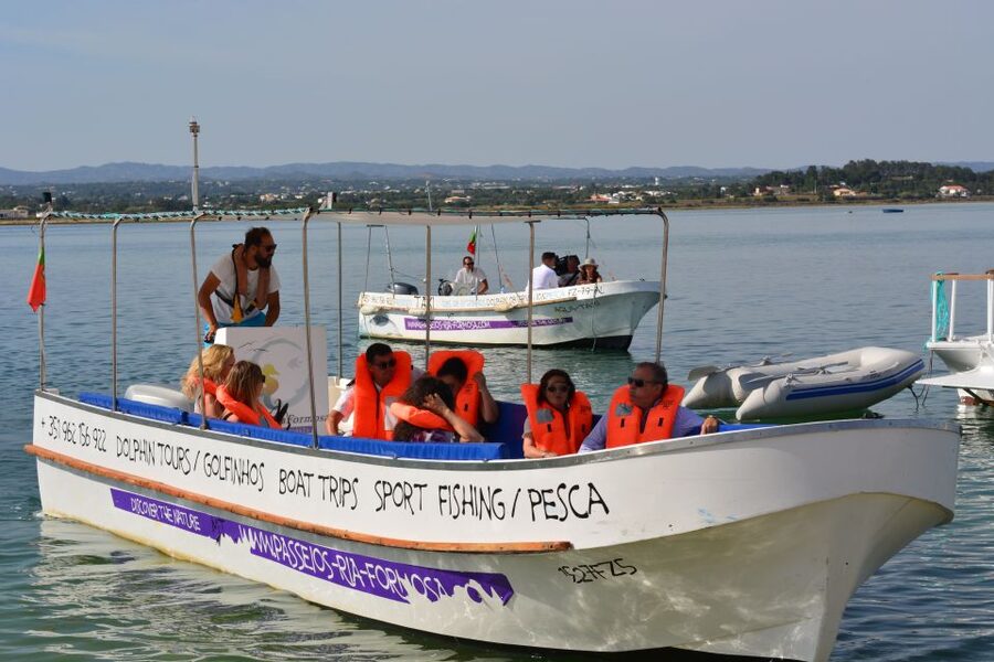 From Fuzeta: 2-Hour Southeast Ria Formosa Boat Trip - Birdwatching Along the Channels