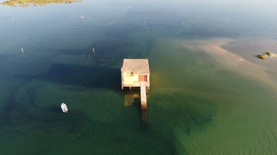 From Fuzeta: 2-Hour Southeast Ria Formosa Boat Trip - FAQ