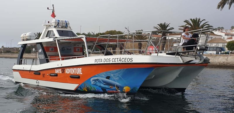 From Lagos: Benagil Caves Catamaran Cruise - Should you book the Benagil catamaran cruise?