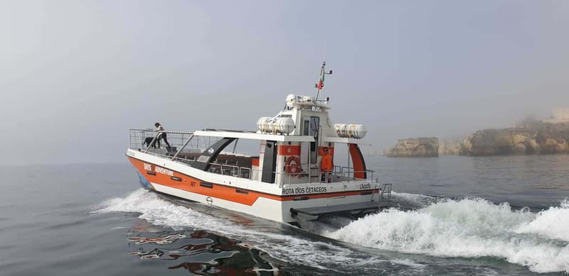 From Lagos: Benagil Caves Catamaran Cruise - The swim stop is a bonus, not a guarantee