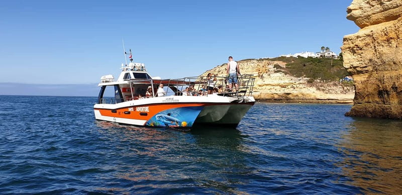 From Lagos: Dolphin Watching Catamaran Cruise - Key points to know before booking