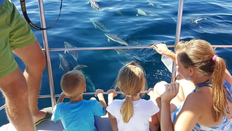 From Lagos: Dolphin Watching Catamaran Cruise - Setting out from Marina de Lagos