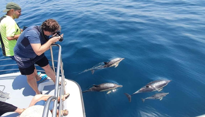 From Lagos: Dolphin Watching Catamaran Cruise - What the catamaran feels like on the water