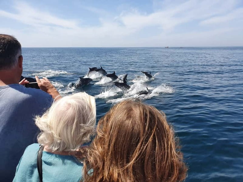 From Lagos: Dolphin Watching Catamaran Cruise - Small details that improve the outing
