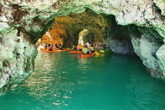 From Lagos: Kayak Tour of Ponta da Piedade Caves on Catamaran - Who will enjoy this most?