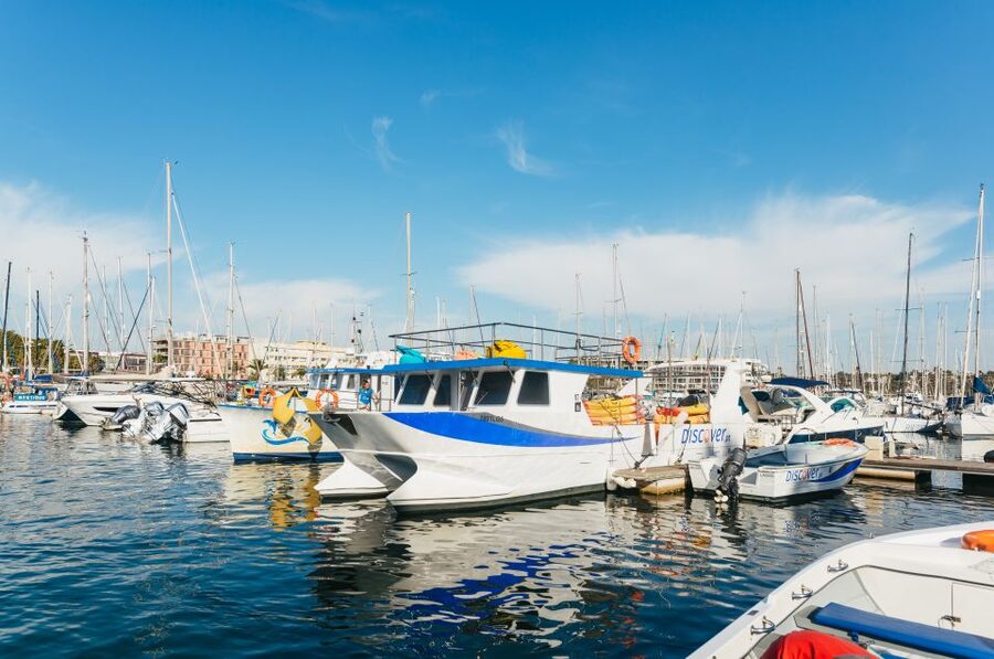 From Lagos: Kayaking and Boat Cave Explorer Tour - Should you book this Ponta da Piedade experience?