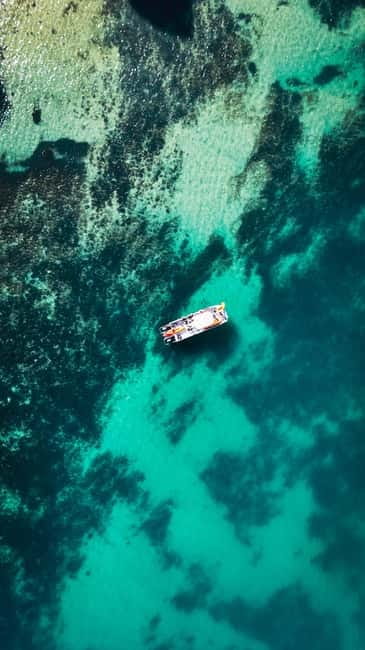 From Lagos: Ponta da Piedade Caves Kayak Tour from Catamaran - Key points before you book